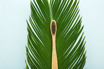 Wooden tooth brush with palm leaf on color background