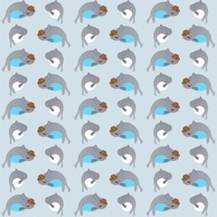 Seal Wears A Swimming Cap While Waving Cute Illustration, Cartoon Funny Character, Pattern Wallpaper