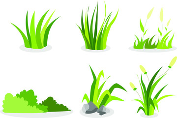 Grass Type Assets 01