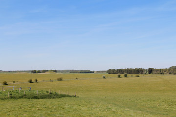 Fototapeta na wymiar Landscape of Spring with the green meadow and blue sky on a sunny day near the Stonehenge, United Kingdom