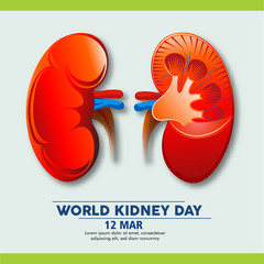 Illustration Of World Kidney Day Poster Or Banner Background.Kidney care logo design. Urology vector design. World kidney day logotype