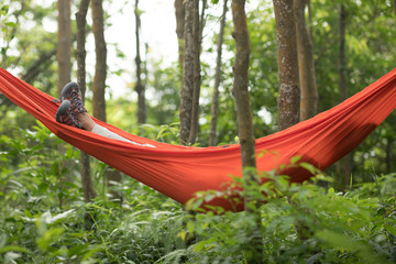 Woman hiker relaxing in hammock in rainforest
