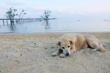 mak island, trat province, thailand