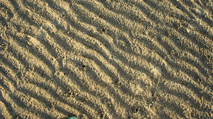 Detail structure of beach sand.