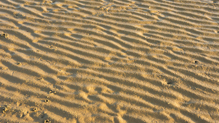 Detail structure of beach sand.