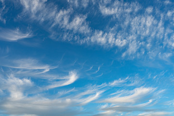 Cirrus is cloud stripe, white, feathery, ice crystal. Blue background of the sky.