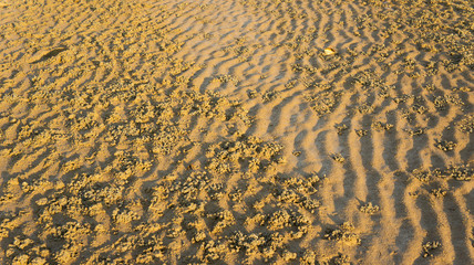 Detail structure of beach sand.
