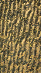 Detail structure of beach sand.