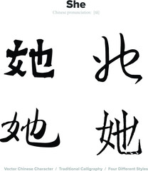 Obraz premium She - Chinese Calligraphy with translation, 4 styles