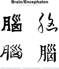 Brain, Encephalon - Chinese Calligraphy with translation, 4 styles