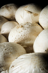 Fresh champignon mushrooms