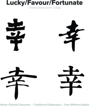 Lucky, Favour, Fortunate - Chinese Calligraphy with translation, 4 styles