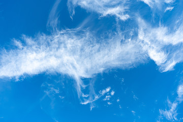 Cirrus is cloud stripe, white, feathery, ice crystal. Blue background of the sky.