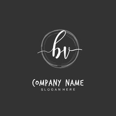 Handwritten initial letter B V BV for identity and logo. Vector logo template with handwriting and signature style.
