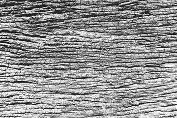 old aged weathered rough dirty tree bark texture. black and white surface with grunge dust noise...