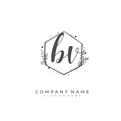 Handwritten initial letter B V BV for identity and logo. Vector logo template with handwriting and signature style.