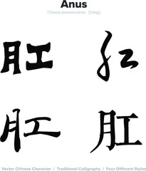 anus - Chinese Calligraphy with translation, 4 styles