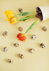 Quail eggs and tulips in a yellow flower pot