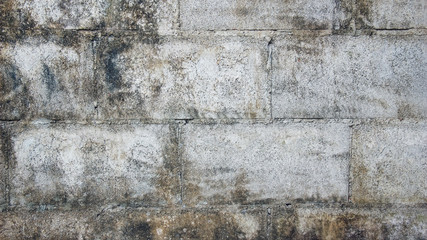 Texture of gray polished cement for background