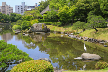水前寺成趣園 庭園に降り立つ白鷺