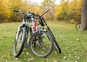 Fototapeta na wymiar Touring bikes standing in a forest glade in the fall.
