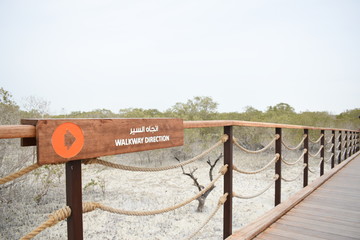 Walkway direction board in Al Jubail Mangrove park.It is a exiting environment educational place in Abu Dhabi,Uae.