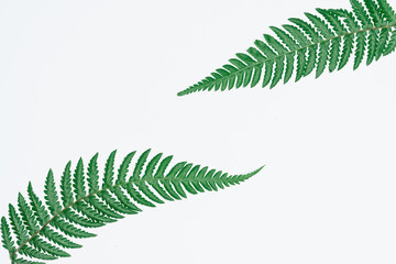 Creative layout made of papers and leaves Flat lay. Minimal nature concept.