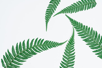 Creative layout made of papers and leaves Flat lay. Minimal nature concept.