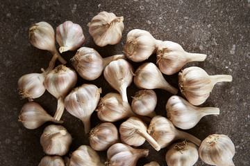 Fresh garlic