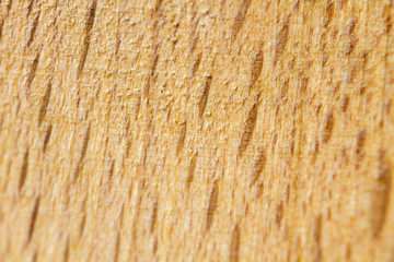 Wooden texture closeup