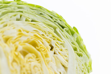 新鮮採れたて！春キャベツ