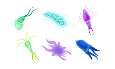 Bacteria and Germs of Different Shapes Isolated on White Background Vector Set