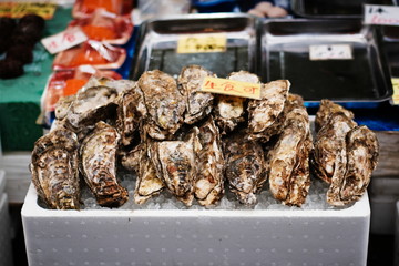 Delicious raw fresh oysters for sale at the seafood market, Osaka Japan.