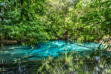 Emerald Pool (Sra Morakot Blue Pool )or Tha Pom Klong Song Nam at Krabi Province, Thailand. Amazing crystal clear emerald canal with mangrove forest. Beautiful nature landscape. Travel, holidays