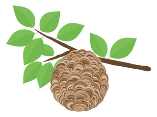 スズメバチの巣のイラスト_枝