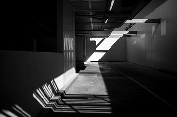 Black and white interior with sunlight