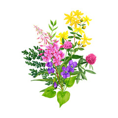 Wild flowers bouquet, fireweed clover and st johns wort - obrazy, fototapety, plakaty