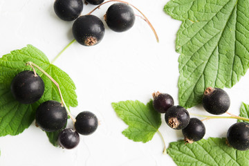 Frame of black currents and green leaves on white textured background