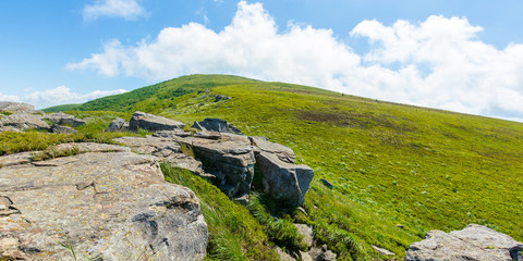 Fototapeta na wymiar rocks on the alpine hillside meadow. beautiful summer nature scenery. green grass on the hills and fluffy clouds on the blue sky. wonderful mountain panorama of carpathians