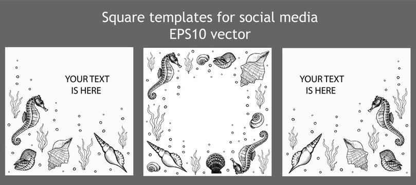 Set of square templates for social media. Frames with underwater inhabitants. Seahorse, shells and seaweed hand drawn doodle outline. Stock vector illustration isolated on transparent background.
