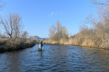 Fototapeta na wymiar fly fisherman in river in winter