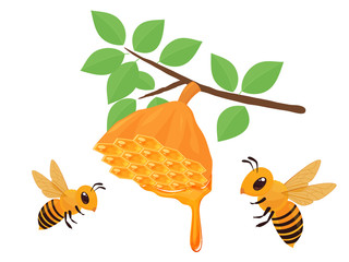 蜜蜂の巣のイラスト_蜂蜜_垂れる