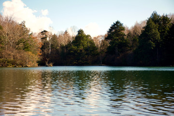 Lago com floresta ao fundo