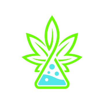 cannabis or marijuana leaf extract in a beaker