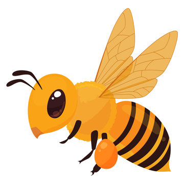 ミツバチのイラスト 花粉団子 Stock ベクター Adobe Stock