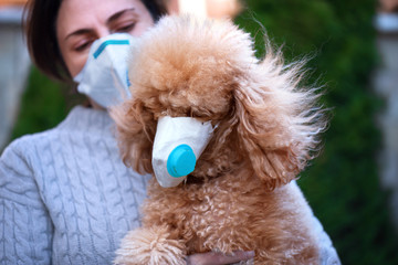 Woman in protective face mask looking at a dog wearing a medical mask too.  COVID-19 is dangerous for pet concept.