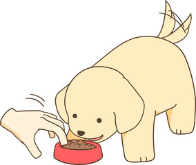 ゴールデンレトリバーの子犬（餌入れに手を入れられる）