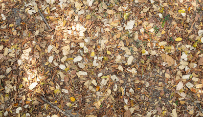 The background that is used for various tasks