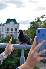 a girl photographs a pigeon