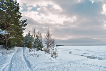 road in winter forest